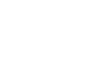 Kokkedal Slot logo